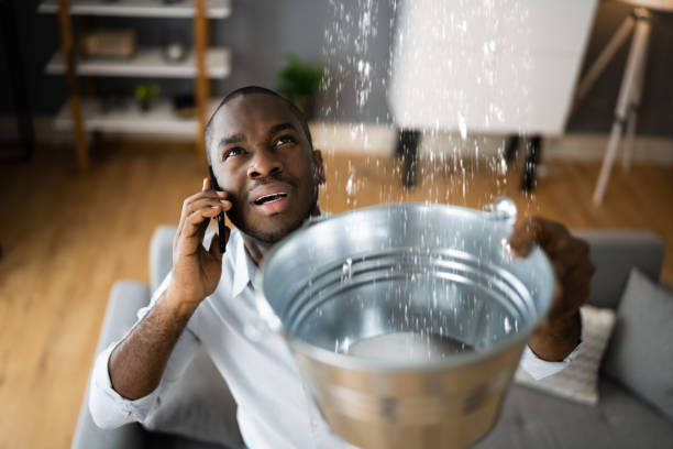 Best Water damage repair service  in Blair, NE