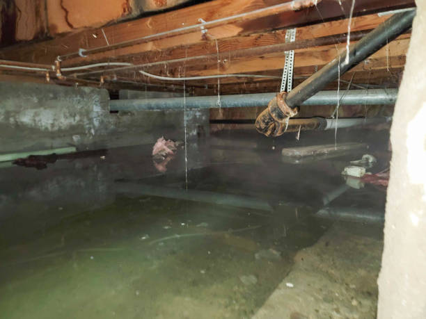 Best 24-hour water damage restoration  in Blair, NE