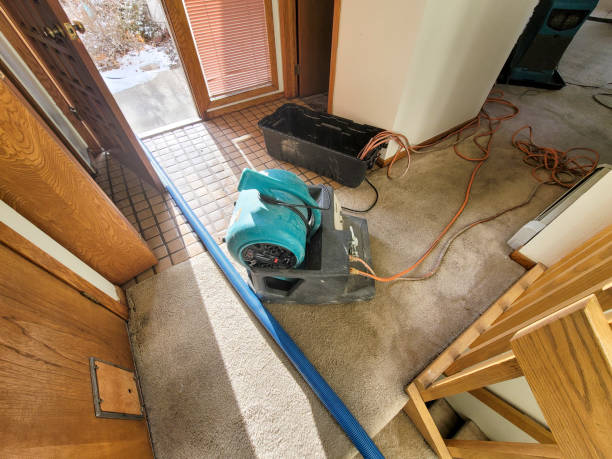 Best Carpet water damage restoration  in Blair, NE