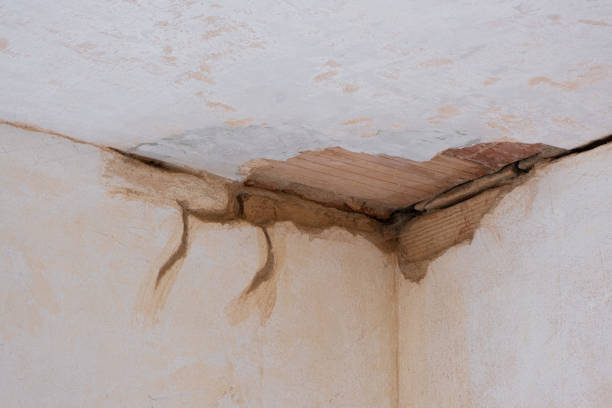 Best Flood damage cleanup  in Blair, NE