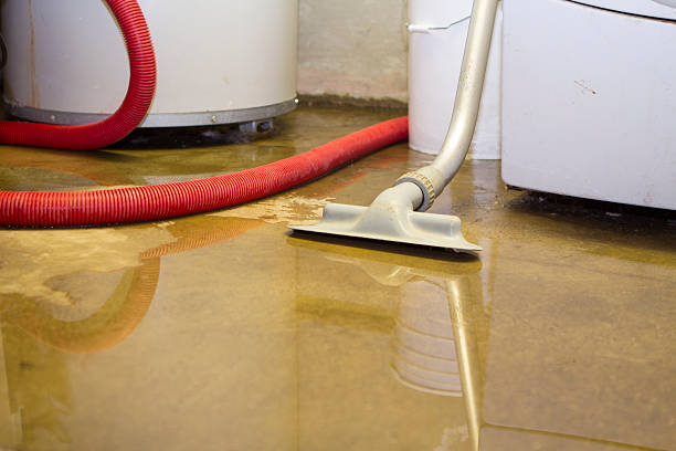 Reliable Blair, NE Water damage restoration Solutions