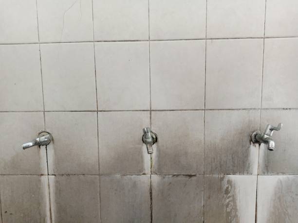 Best Mold removal after water damage  in Blair, NE