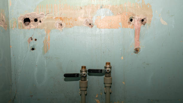 Best Emergency water damage restoration  in Blair, NE