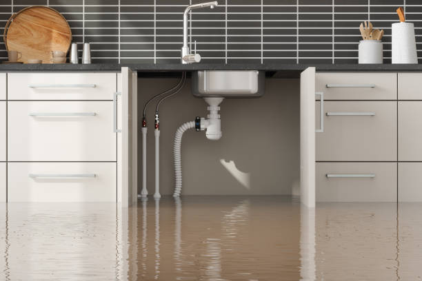 Professional Water damage restoration in Blair, NE