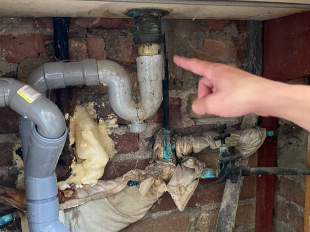 Best Water damage repair service  in Blair, NE